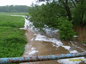 powódż 2010 015.jpg