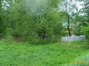 powódż 2010 019.jpg