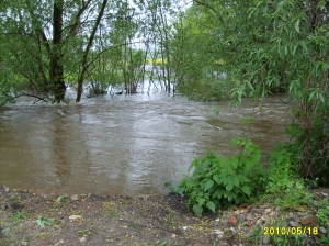 powódż 2010 036.jpg